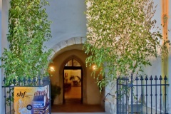 250619-192011-FU-BoziTelo-D60_8160