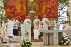 250619_18-07-22_IMG_5048