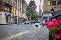 250619_19-10-25_PNOW3960