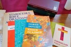 LM-Lektori-IMG-20251123-WA0015-