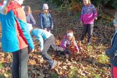 74e8065a-53e5-4fe5-8d6d-bdb67875c321