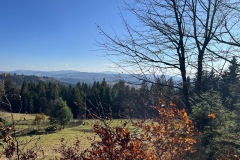 89921666-c644-4da6-b723-6581076dda5b