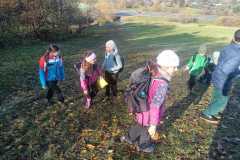 97627706-f97d-4866-aca2-17f44d1f811c