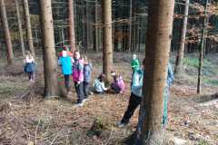 9f12c9a1-f382-4eb3-b8e3-2b3bba9f0030