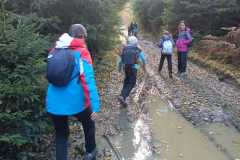 ba582eb0-909a-41a0-9785-bd4bcde5a2fb