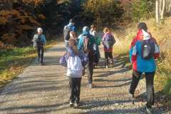 e6e7d9ac-b656-4ca4-8795-844ed78c9540