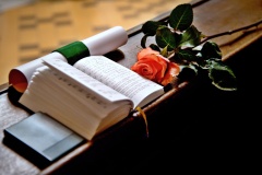 251016-181020-LM-svHedvika-DSC_2238-