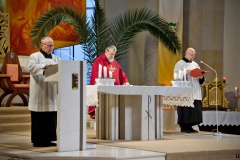 260329-064343-Uf-KvetNedele-D60_2789