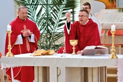 260403-161723-LM-VelkyPatek-DSC_3223