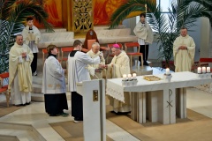 260402-170434-Uf-ZelCtvrtek-D60_3351