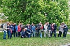 260501-112502-Uf-FarPout-DSC_3373
